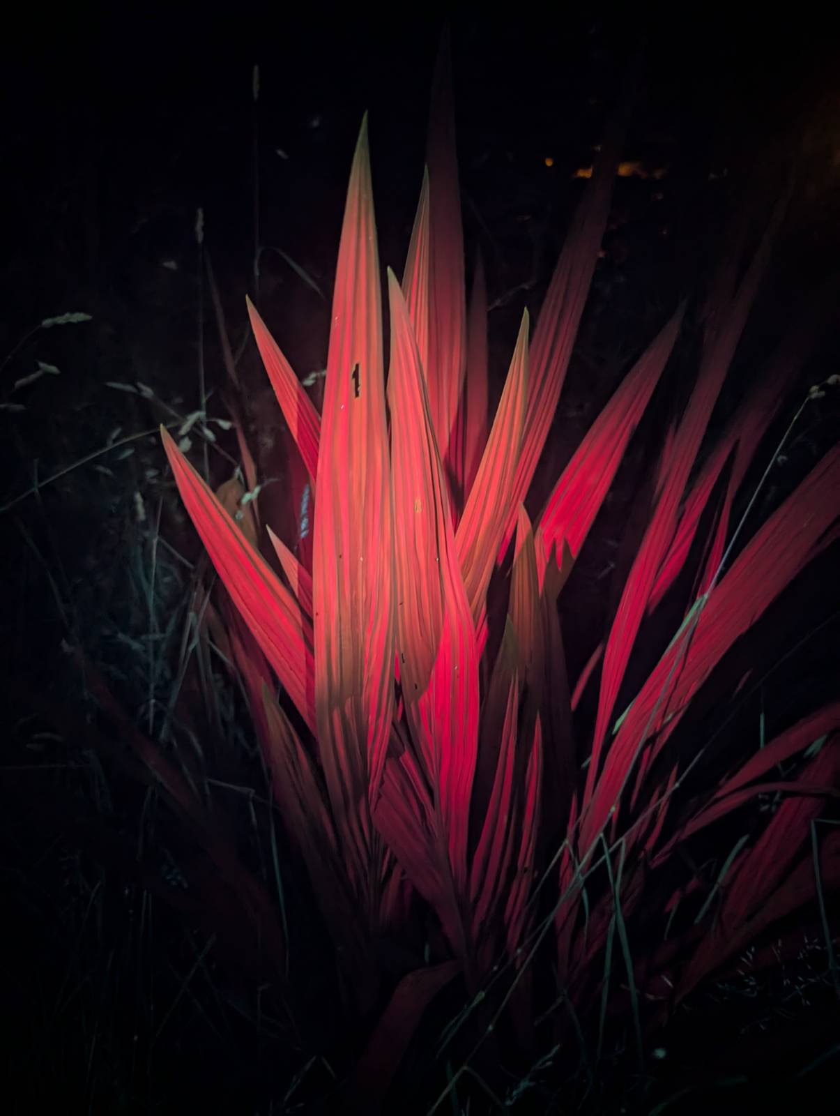 Convoy S12 Triple 365nm UV LED Flashlight (restocking pre order only ETA 19/12)