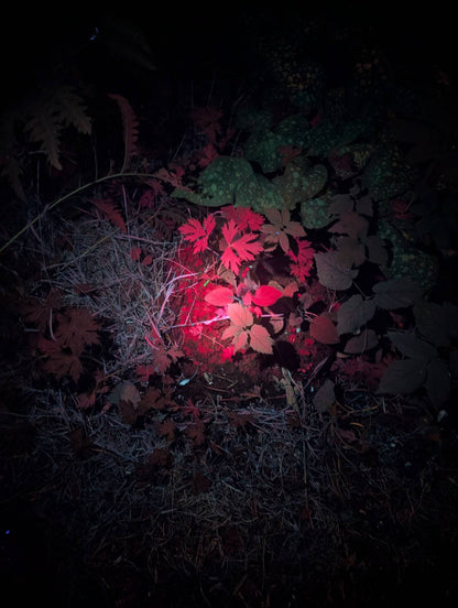 Convoy S12 Triple 365nm UV LED Flashlight (restocking pre order only ETA 19/12)